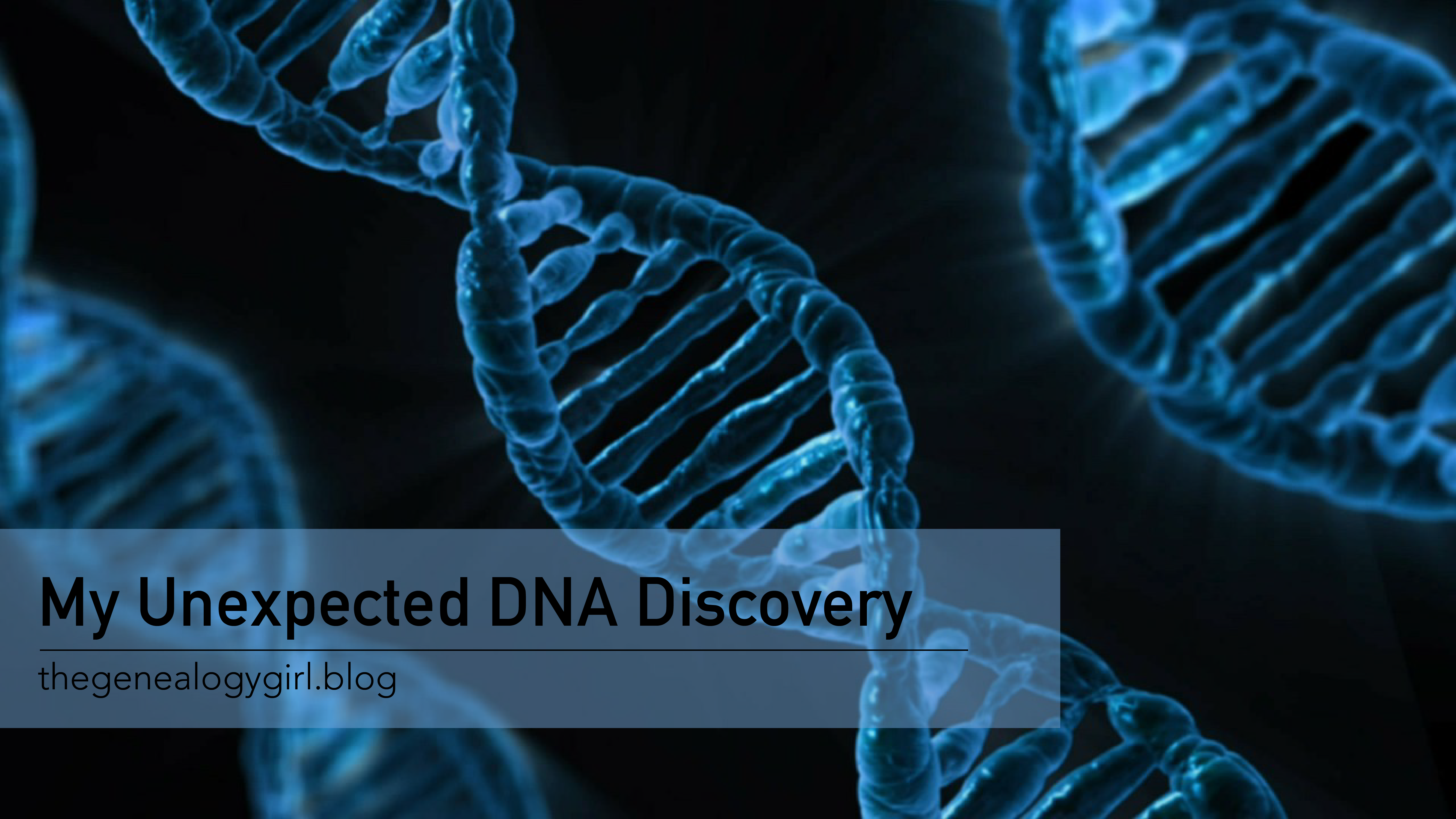 essay on the discovery of dna